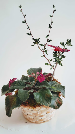 Florist «Flower Art Denver», reviews and photos, 8801 E Hampden Ave Suite 1g, Denver, CO 80231, USA