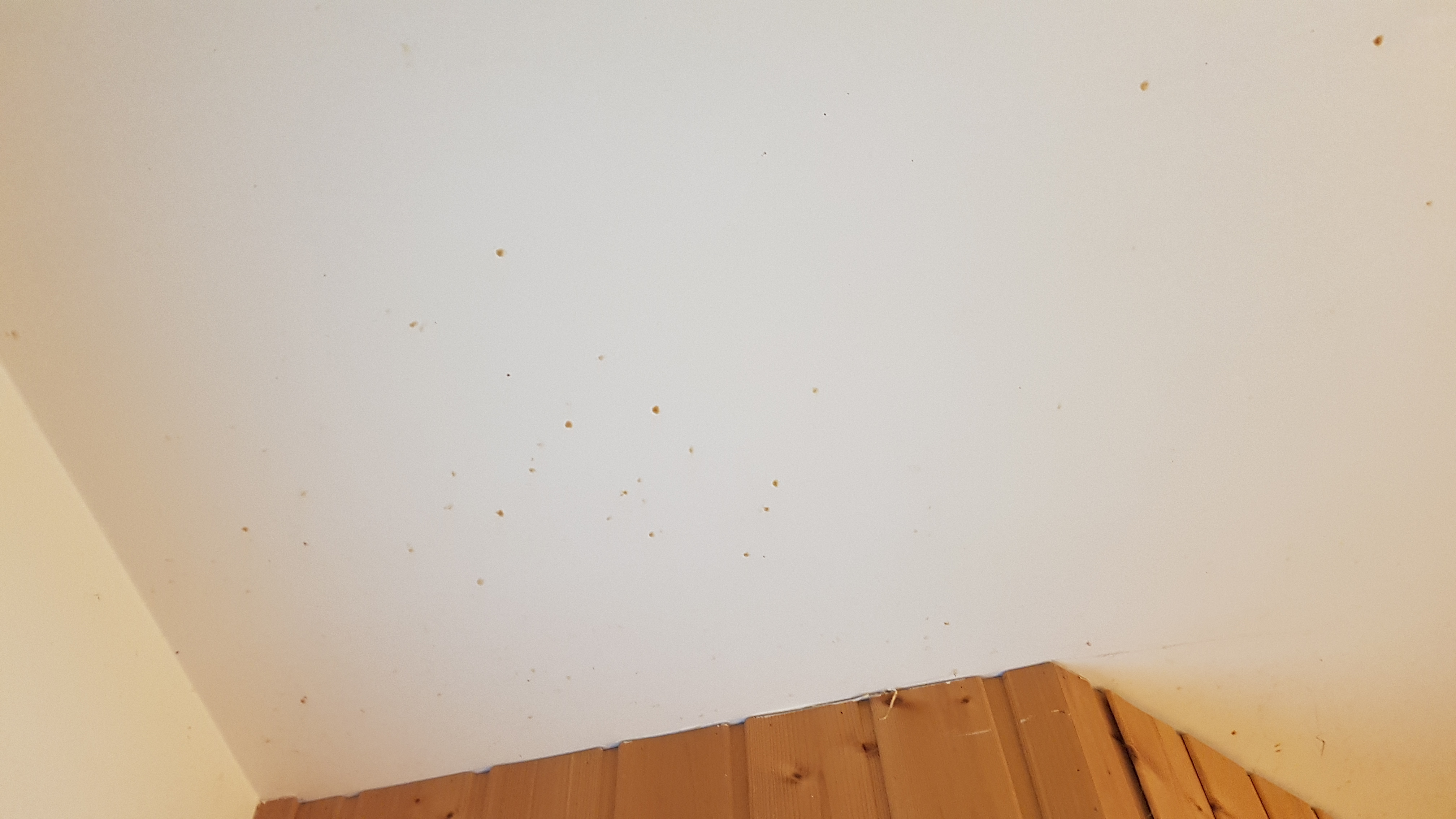 Photo n° 5 de l'avis de laetitia.b fait le 27/09/2020 à 16:12