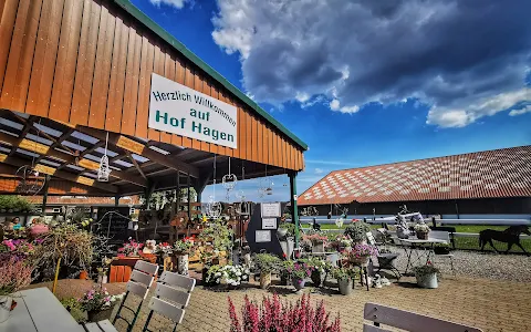 Hof Hagen - Scheunecafé and farm shop image