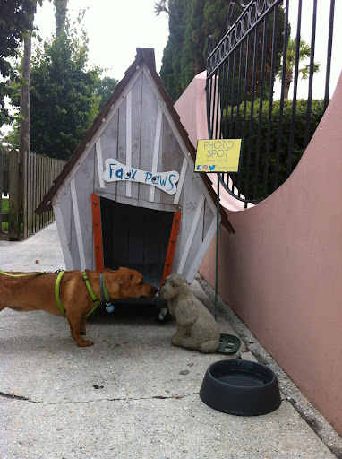 Gift Shop «Faux Paws», reviews and photos, 97 St George St, St Augustine, FL 32084, USA