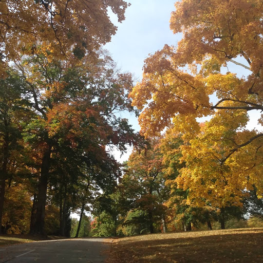 Cemetery «Crown Hill Funeral Home and Cemetery», reviews and photos, 700 38th St, Indianapolis, IN 46208, USA