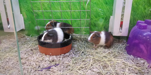 Pet Supply Store «PetSmart», reviews and photos, 1515 US-22, Watchung, NJ 07069, USA