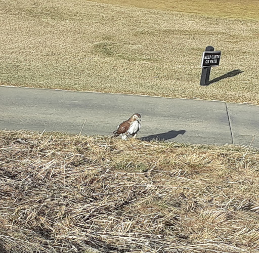 Golf Course «Broadlands Golf Course», reviews and photos, 4380 W 144th Ave, Broomfield, CO 80023, USA