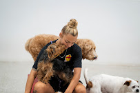 The Dog Stop - Gulf Breeze, FL