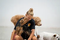 The Dog Stop - Gulf Breeze, FL - Car repair in Gulf Breeze, FL, Pensacola - Rated 4.7/5