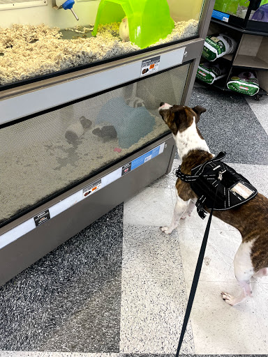 Pet Supply Store «Petco Animal Supplies», reviews and photos, 10060 US Highway 40 G-150, Ellicott City, MD 21042, USA