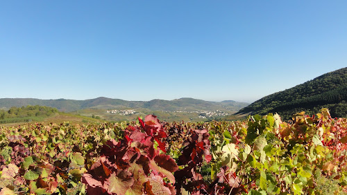 Domaine Dumord à Rivolet