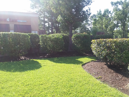 Pet Store «Everything Pet», reviews and photos, 3616 N Fry Rd, Katy, TX 77449, USA