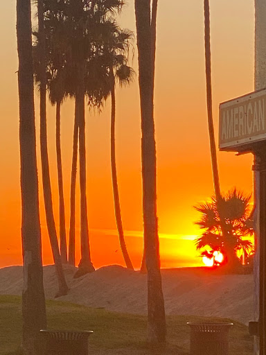 Find aquatic tattoo ideas for your next unique tattoo in Venice at House of Ink