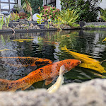 Photo n°3 de l'avis de Wolfgang. fait le 27/10/2022 à 11:47 sur le  Rheinhotel Larus à Kaltenengers