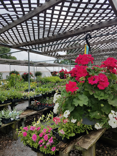 Florist «TG Designs», reviews and photos, 19231 Longmeadow Rd, Hagerstown, MD 21742, USA