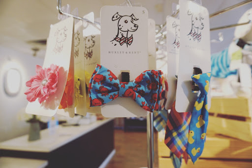 Pet Groomer «Oasis Dog Spa & Shoppe», reviews and photos, 2911 Centre Ave #2, Reading, PA 19605, USA