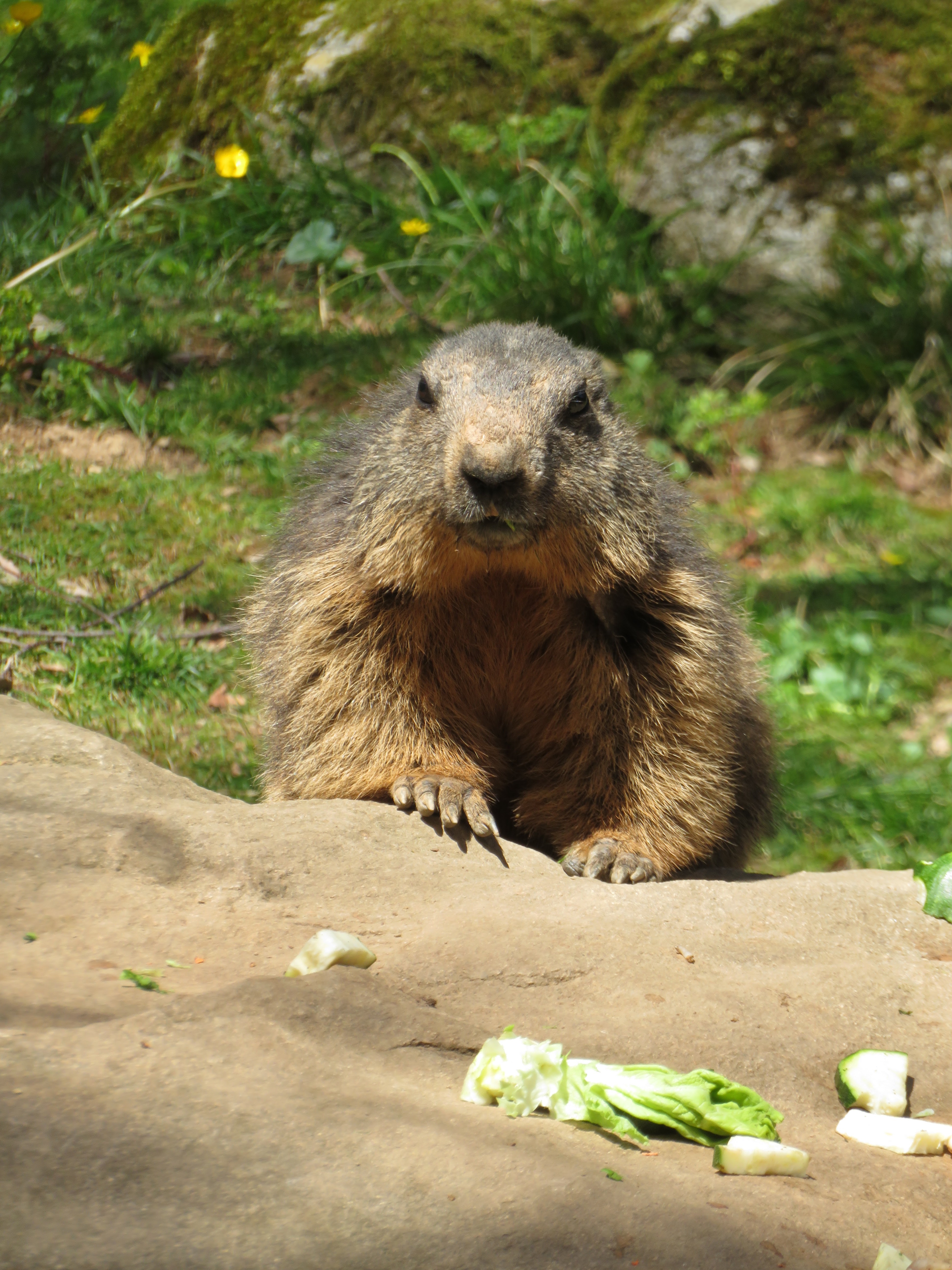 Photo n° 8 de l'avis de Pascal.E fait le 09/04/2023 à 04:13