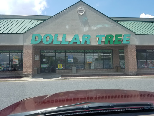 Dollar Store «Dollar Tree», reviews and photos, 1030 Forrest Ave #119, Dover, DE 19904, USA
