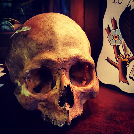 Find cat tattoo ideas simple for your next unique tattoo in Lakewood at Union Ave Tattoo Company