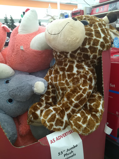 Discount Store «Big Lots», reviews and photos, 610 Las Tunas Dr, Arcadia, CA 91007, USA