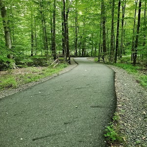 Loantaka Park - photo 49