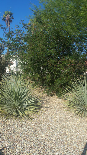 Country Club «Mission Lakes Country Club», reviews and photos