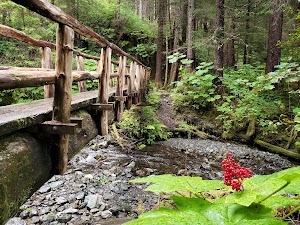 Herring cove trail Sitka - photo 2