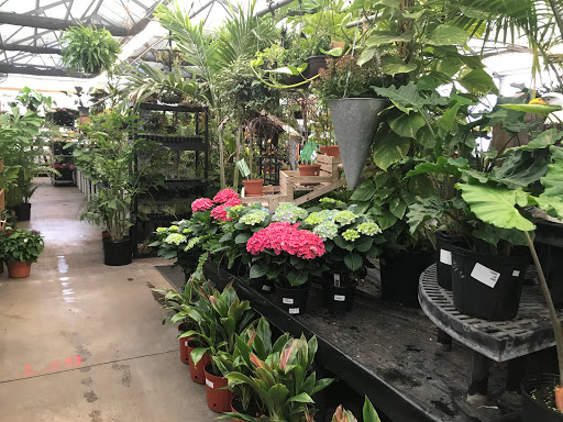 Hardware Store «Proctor Ace Hardware», reviews and photos, 1281 Atlantic Blvd, Neptune Beach, FL 32266, USA