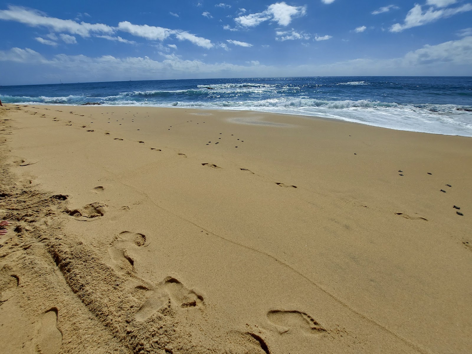 Foto di Playa Sheraton los Cabos - luogo popolare tra gli intenditori del relax