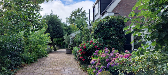 https://www.yogacentrumdieren.nl/