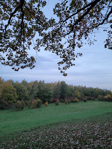 Disc Golf Drispenstedt Am Müggelsee, 31135 Hildesheim, Deutschland