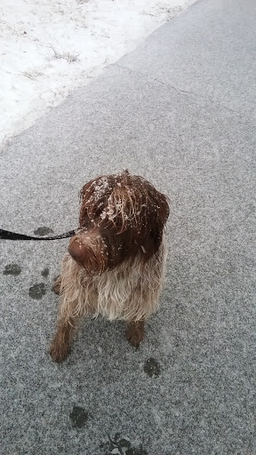 State Park «Bradley Palmer State Park», reviews and photos, 40 Asbury St, Topsfield, MA 01983, USA