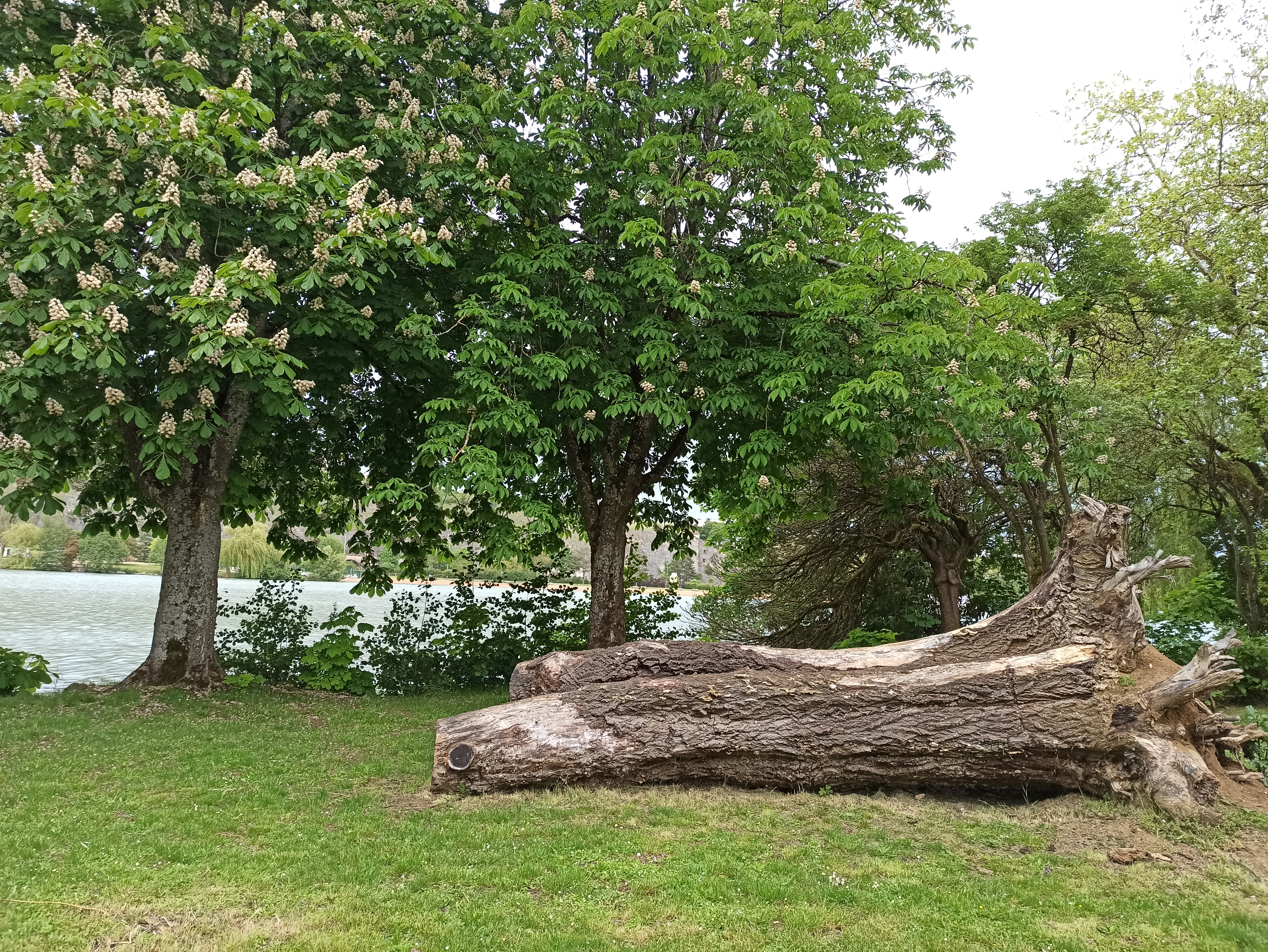 Photo n° 6 de l'avis de saaltmay. fait le 23/05/2021 à 18:16