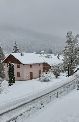 VILLA 12 PERSONNES GERARDMER 88 à Gérardmer