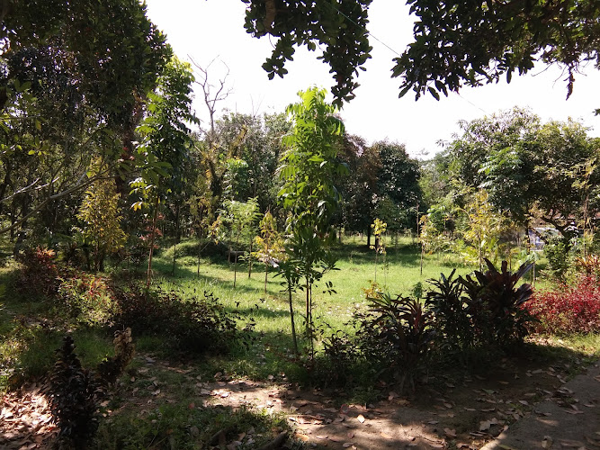 Menjelajahi Keindahan Hutan Nasional di Kabupaten Lombok Barat: Tempat yang Harus Dikunjungi