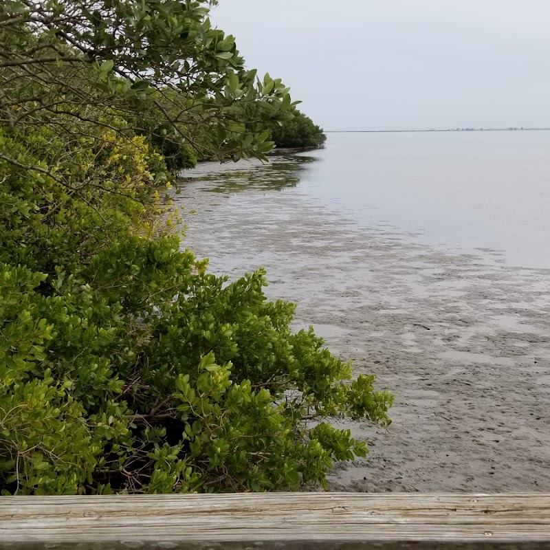 Upper Tampa Bay Park