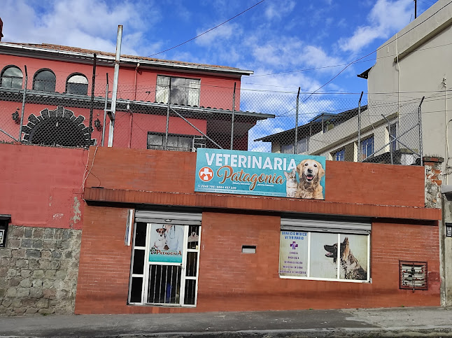 Opiniones de Veterinaria Patagonia Quito en Quito - Veterinario