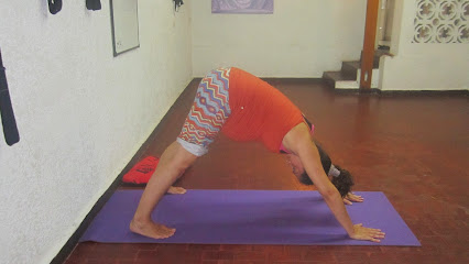 Escuela de Yoga Surya