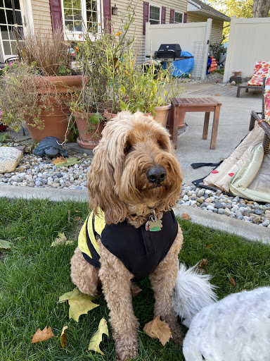 Pet Supply Store «Petco Animal Supplies», reviews and photos, 2823 County Home Rd, Goshen, IN 46526, USA