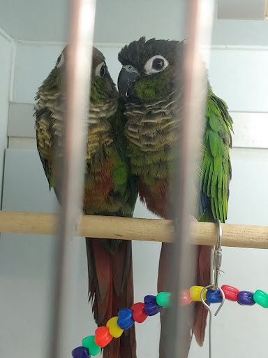 Pet Supply Store «Pet Supplies Plus», reviews and photos, 14839 Detroit Ave, Lakewood, OH 44107, USA