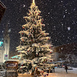 Photo n°4 de l'avis de Clementina.a fait le 11/01/2024 à 07:53 sur le  Hotel Sonnenhof à Kastelruth