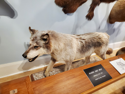 Museum «Woodman Museum», reviews and photos, 182 Central Ave, Dover, NH 03820, USA