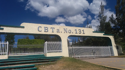 CBTa 131