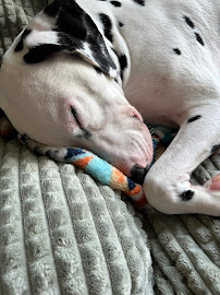 Petco - Photo 6 - Car repair in Eagan, MN, Minneapolis