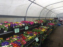 Washougal Hardware - Photo 8 - Car repair in Washougal, WA, Gresham