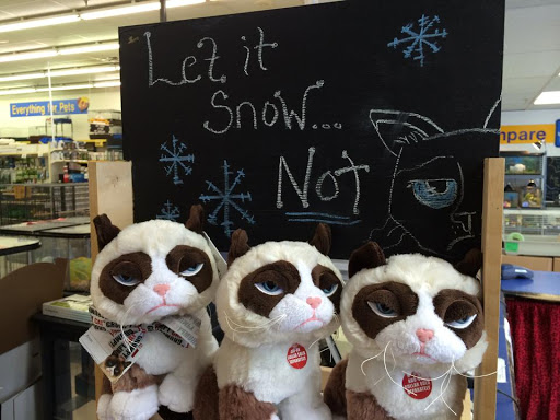 Pet Groomer «We Lov Pets», reviews and photos, 3853 Northpointe Dr, Zanesville, OH 43701, USA