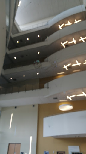 Book Store «USF Bookstore Literary Cafe», reviews and photos, 4105 USF Cedar Dr, Tampa, FL 33620, USA