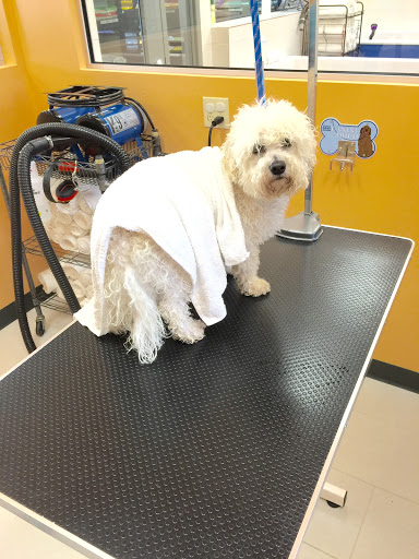 Pet Supply Store «Pet Evolution - Pet Food | Dog Wash | Grooming», reviews and photos, 429 Commerce Dr, Woodbury, MN 55125, USA