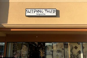 Sleeping Tiger Imports image