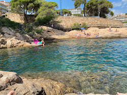 Photo de Platja de Sa Caleta avec un rivage droit