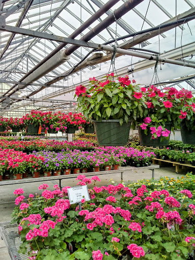 Garden Center «H J Benken Florist & Garden», reviews and photos, 6000 Plainfield Rd, Cincinnati, OH 45213, USA