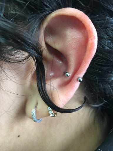 Explore dog sleeve tattoo ideas, creative tattoo ideas in Bronx, available at Marion Tattoos