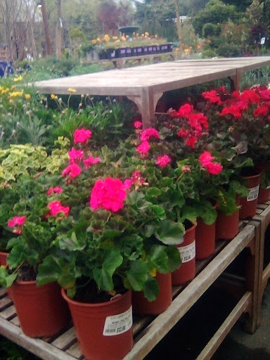 Garden Center «Sloat Garden Center», reviews and photos, 1555 Kirker Pass Rd, Concord, CA 94521, USA