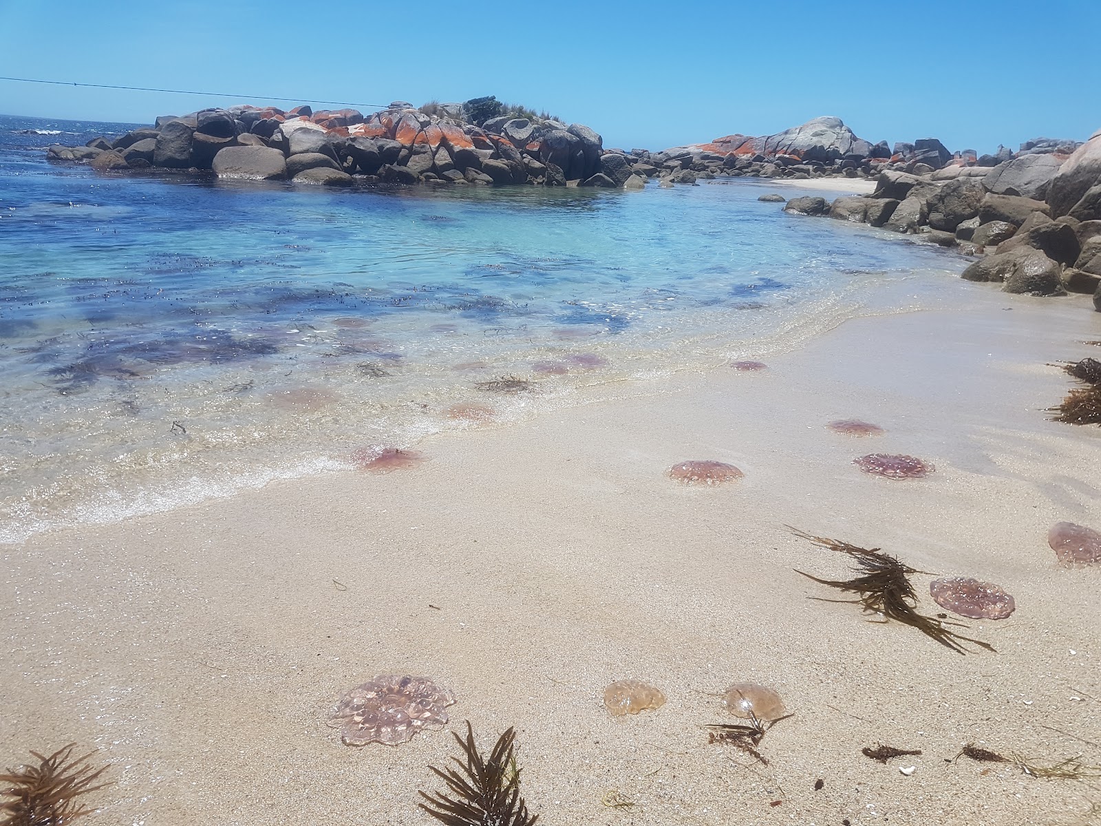 Foto de Gardens Lagoon Beach com várias baías espaçosas